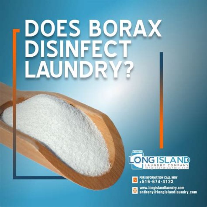 Does borax powder dissolve