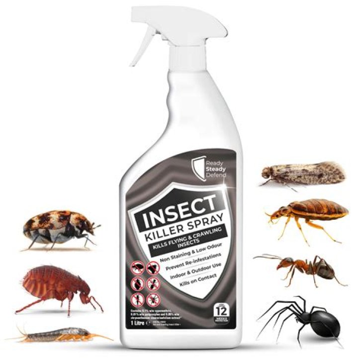 Does bug spray kill spiders