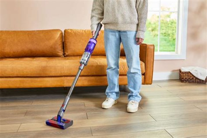 Does Dyson have a steam mop