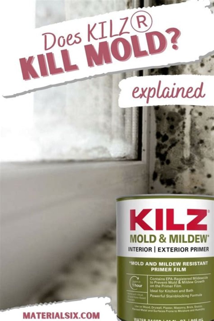 Does kilz kill smoke smell