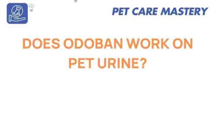 Does OdoBan kill cat urine