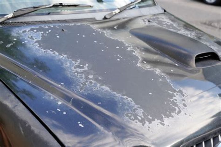 Does oven cleaner damage car paint