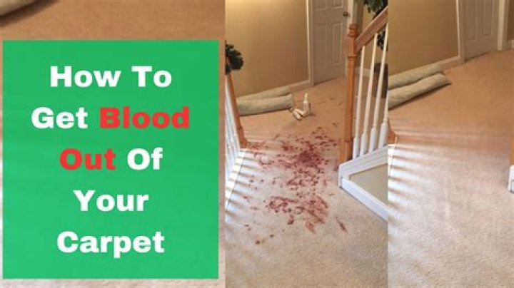 Does OxiClean get blood out of carpet