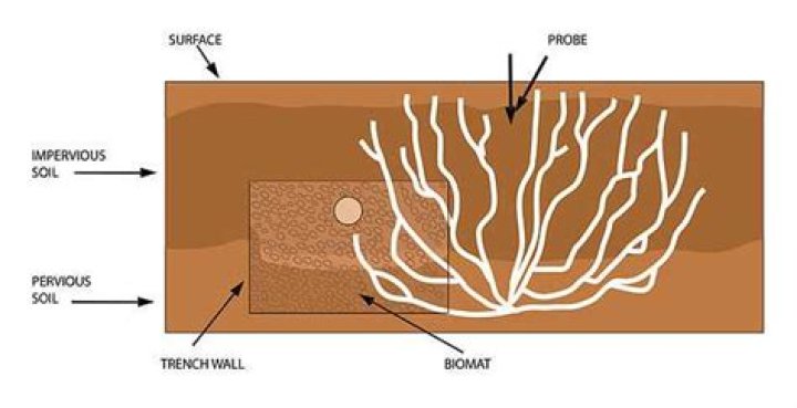 Does Terralift really work