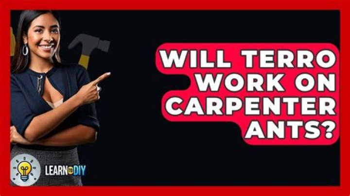 Does Terro work for carpenter ants