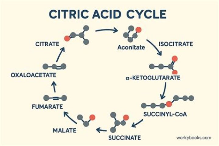 How acidic is citric acid