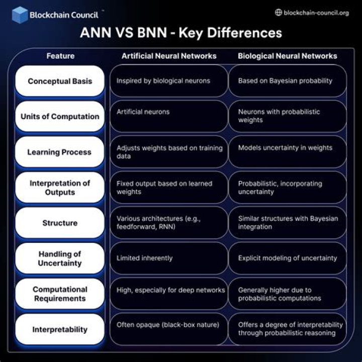 How ANN is inspired by BNN