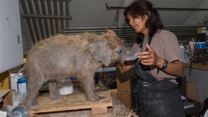 How are dwarf animals made