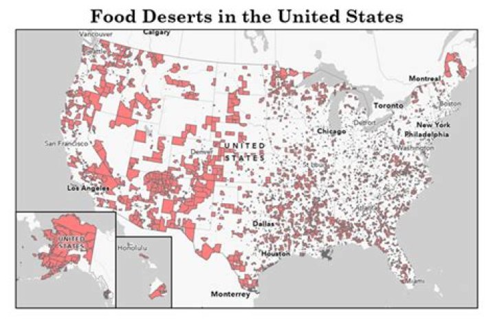 How are food deserts defined and identified by the US government