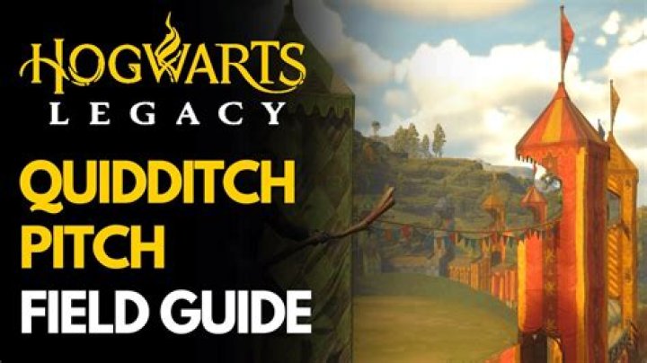 How big is a Quidditch pitch