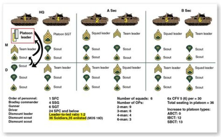 How big is a scout platoon