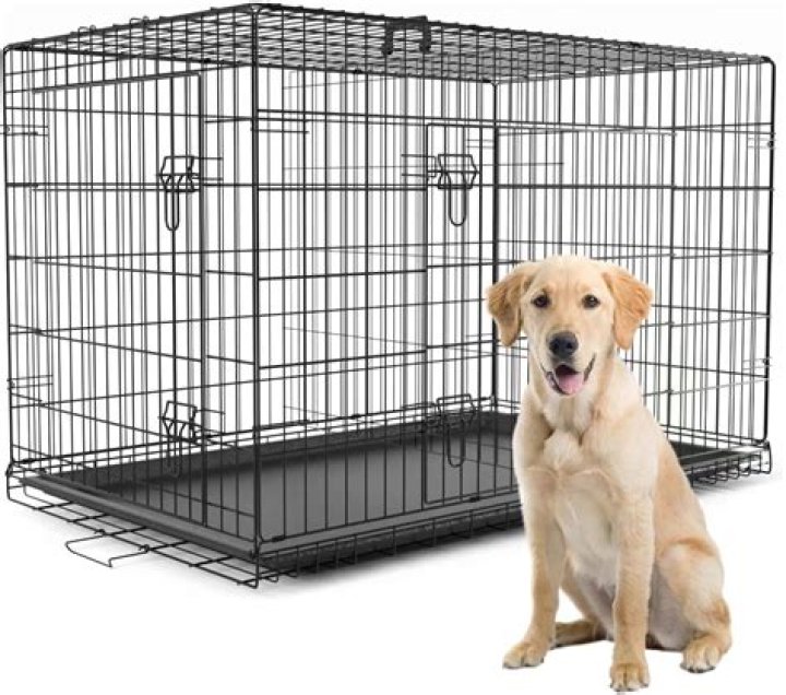 How big is an XL dog crate