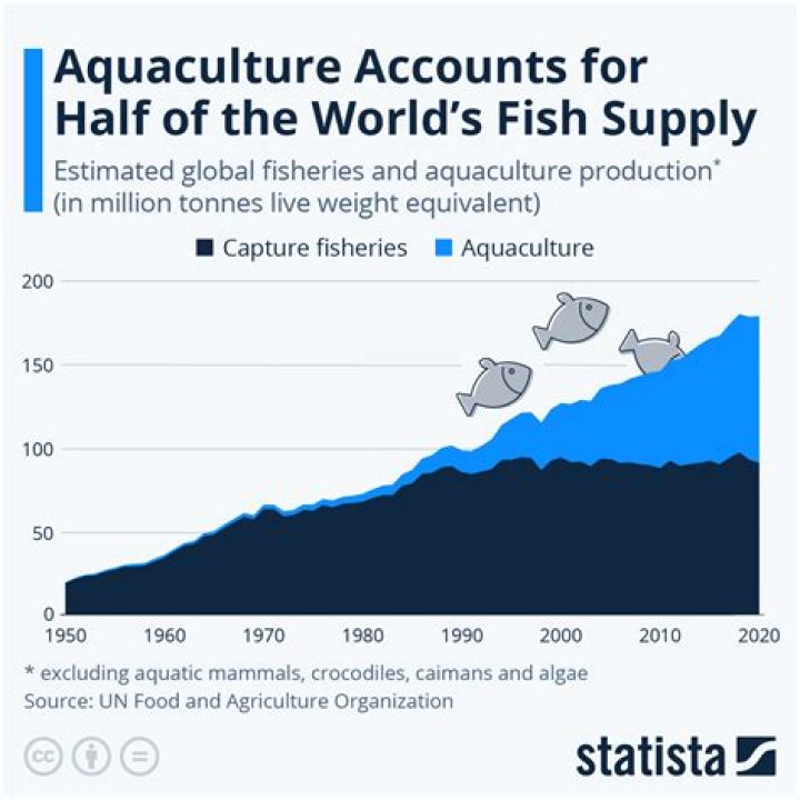 How big is the aquaculture industry