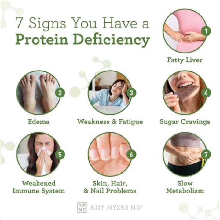 How can I eat less protein