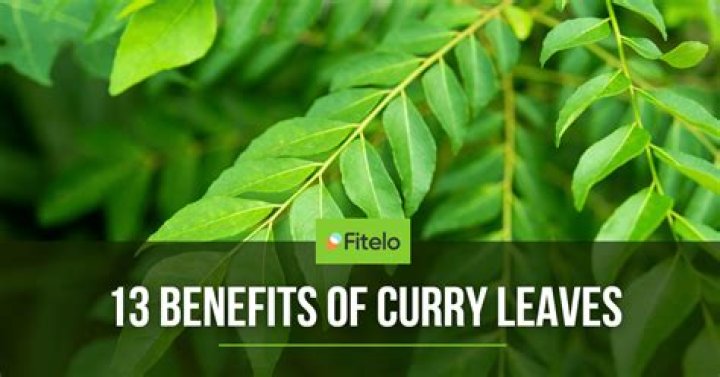 How can I get curry leaves