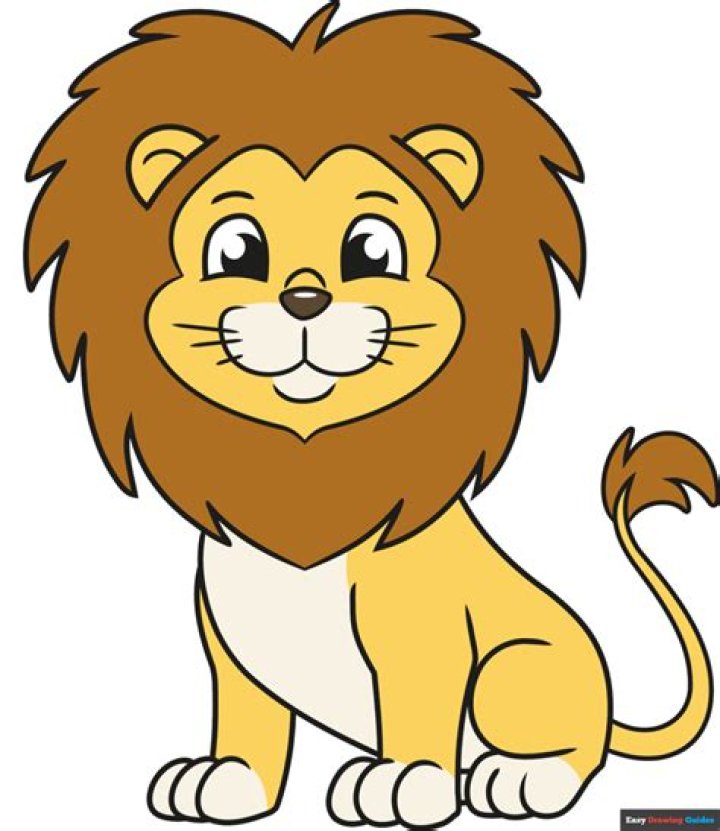 How deadly is a lion