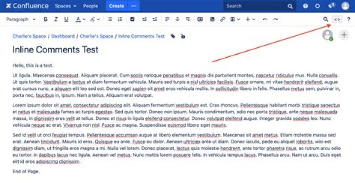 How do I comment in an IDE