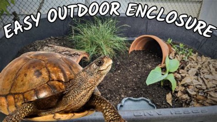 How do I open Tortoise SVN