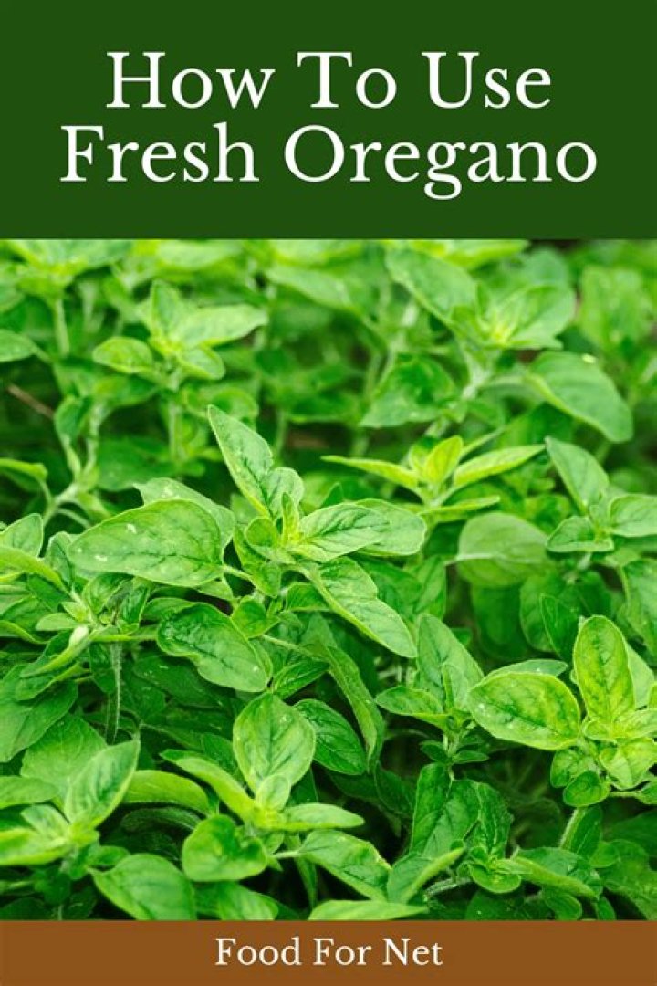 How do I use fresh oregano