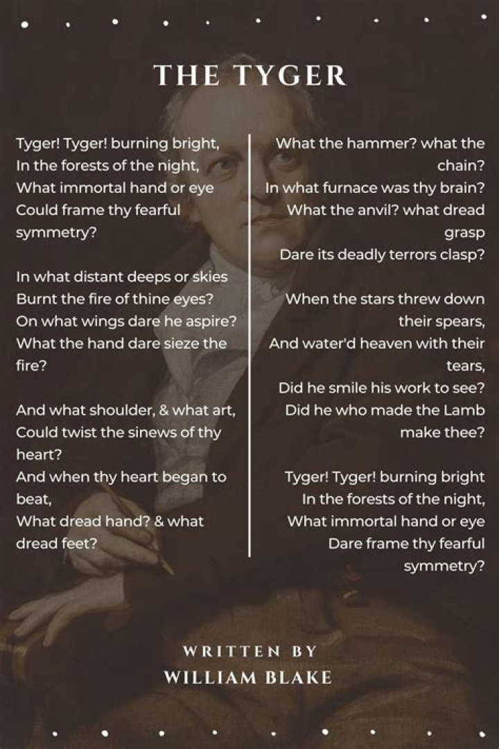 How do the Tyger and the Lamb reflect