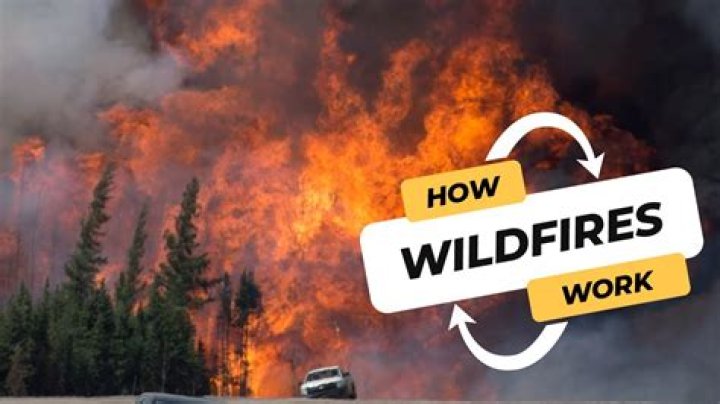 How do wildfires get named