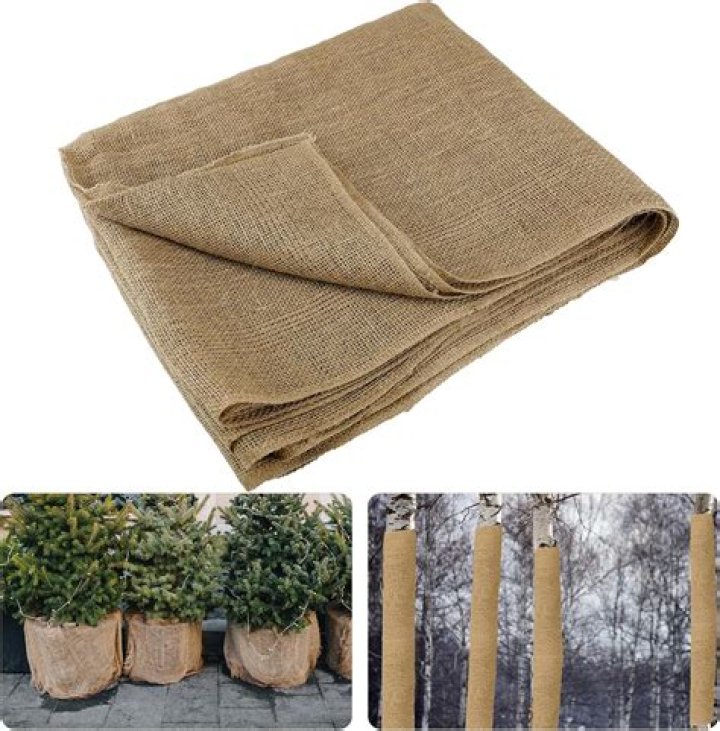 How do you cover bushes with burlap