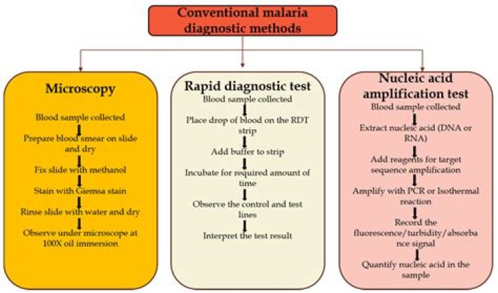 How do you diagnose malaria rapidly