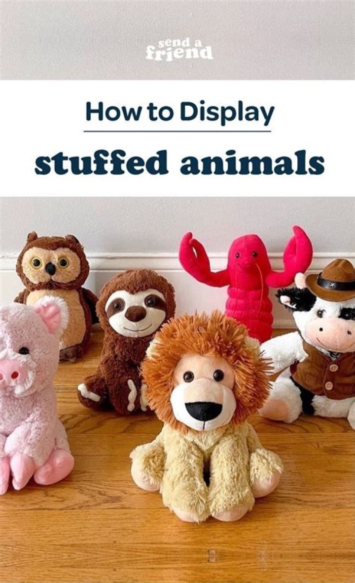 How do you display stuffed animals