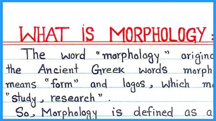 How do you explain morphology