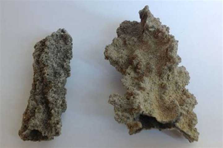 How do you find fulgurites