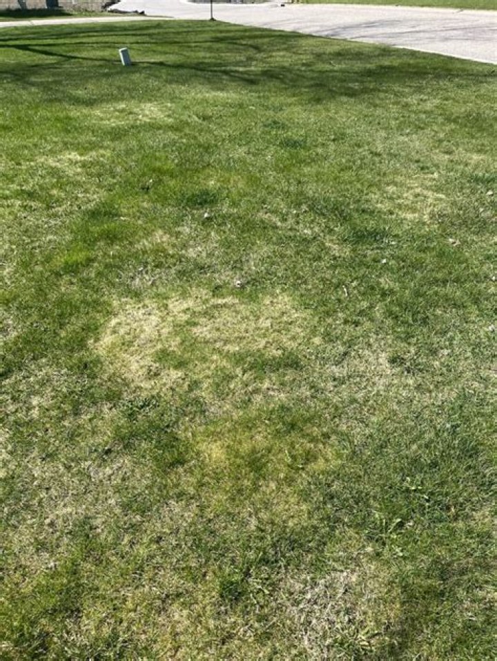 How do you fix spotty grass