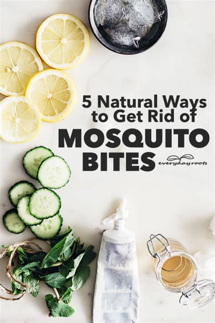How do you get rid of mosquito bites naturally