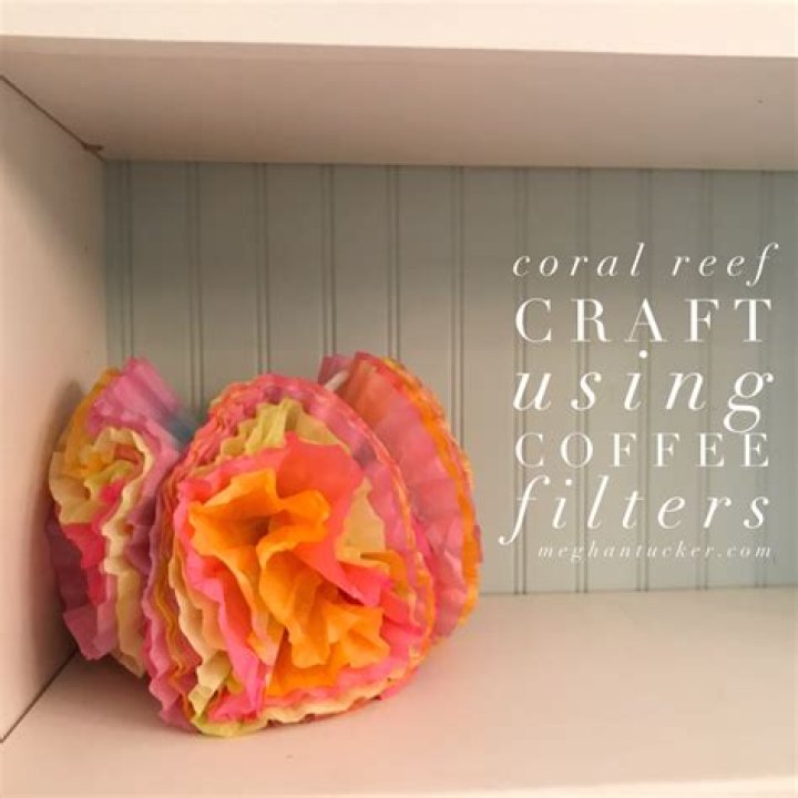 How do you make a coral reef coffee filter