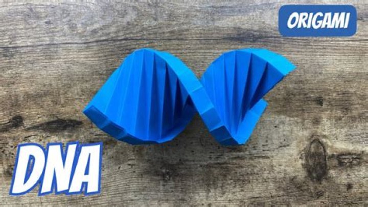 How do you make an origami DNA