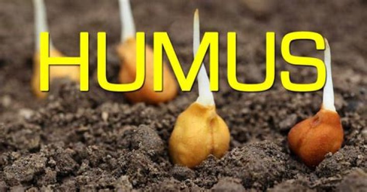 How do you make soil humus