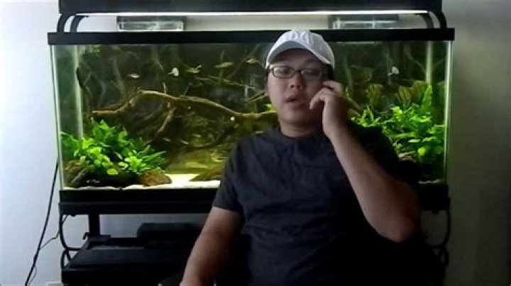 How do you prevent tannins