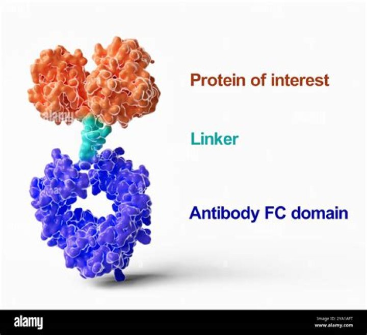 How do you take etanercept