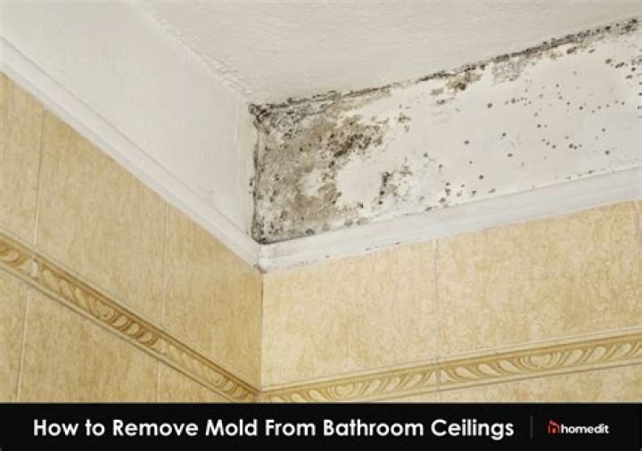How do you treat mold on a bathroom ceiling