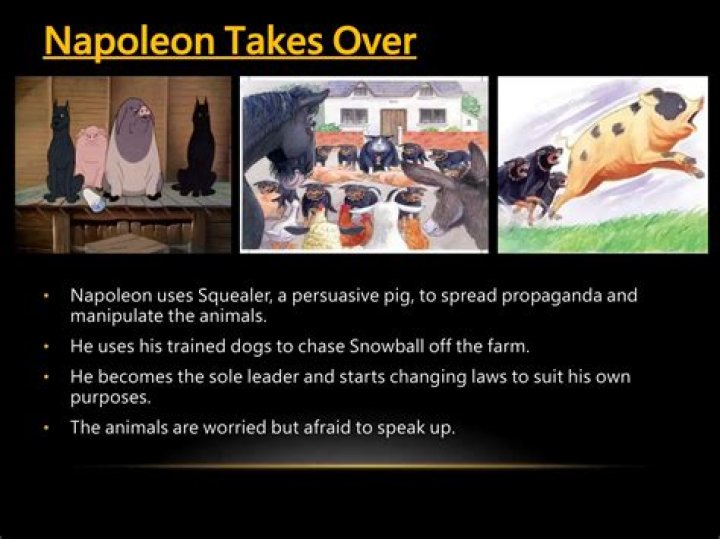 How does Napoleon abuse power in Animal Farm