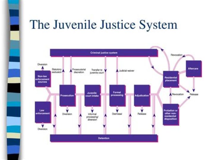 How does the juvenile system work