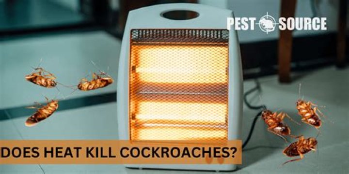 How effective is heat treatment for roaches