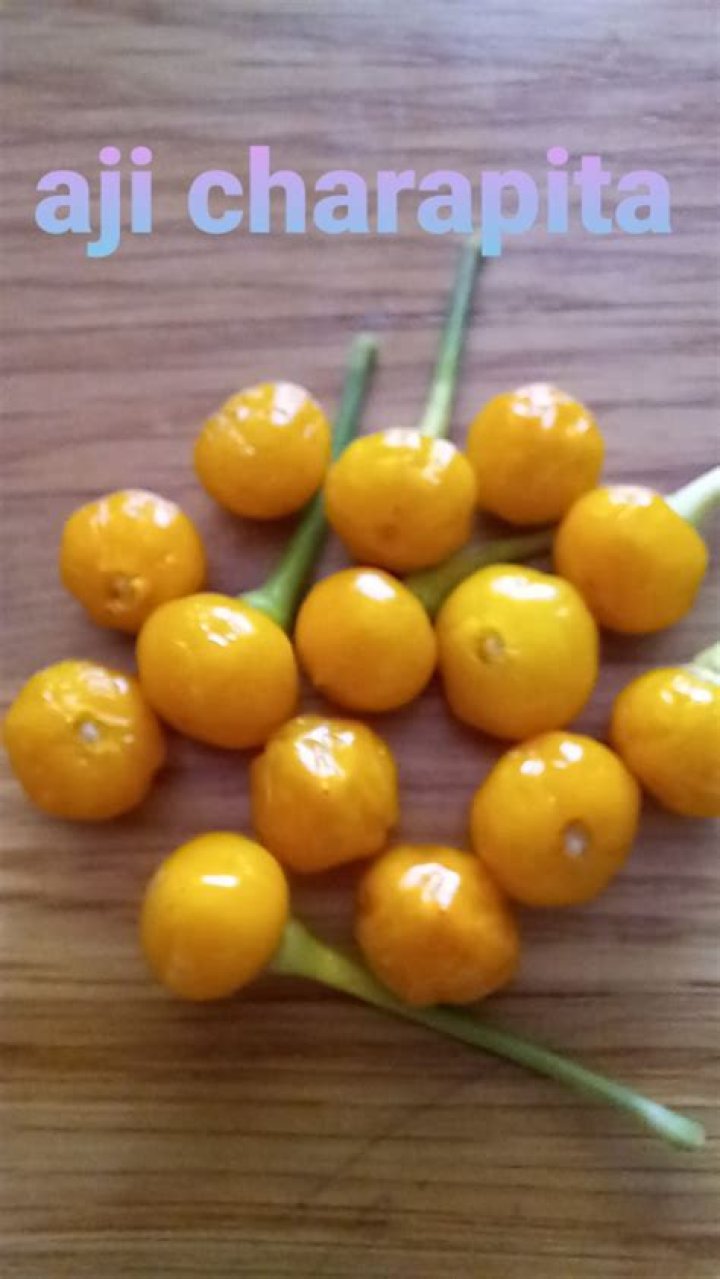 How hot is Aji Charapita