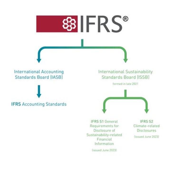 How IFRS standards are set