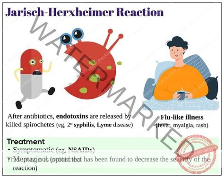 How long does jarisch herxheimer last