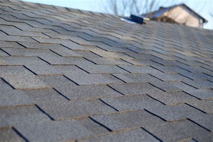 How long should a shingle roof last in Florida