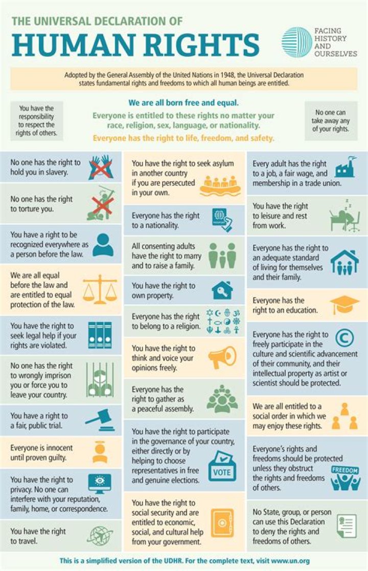 How many articles has UDHR