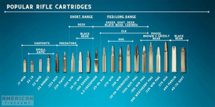 How many rounds does a 10 carry