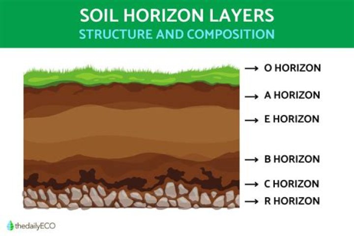 How many soil Suborders are there
