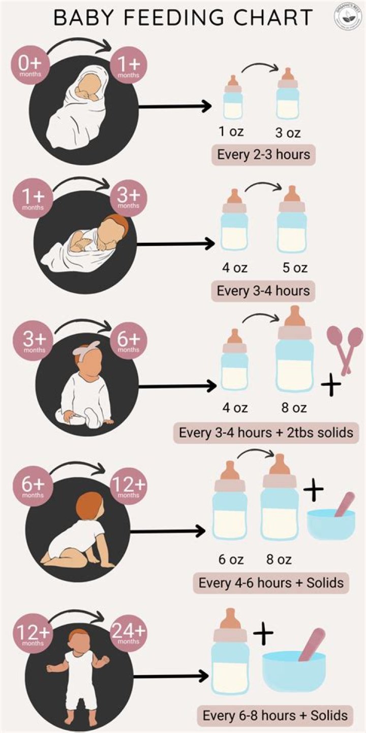 How much do you feed a lovebird