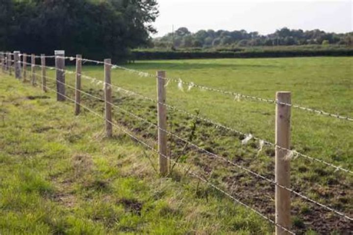 How much does a barbed wire fence cost